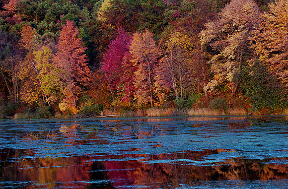 Buckhorn State Park