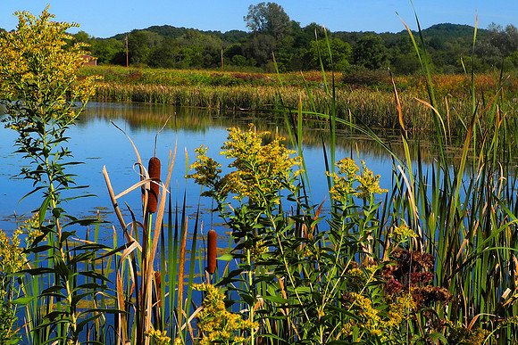Dunlap Hollow