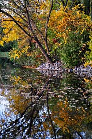 Vilas Park
