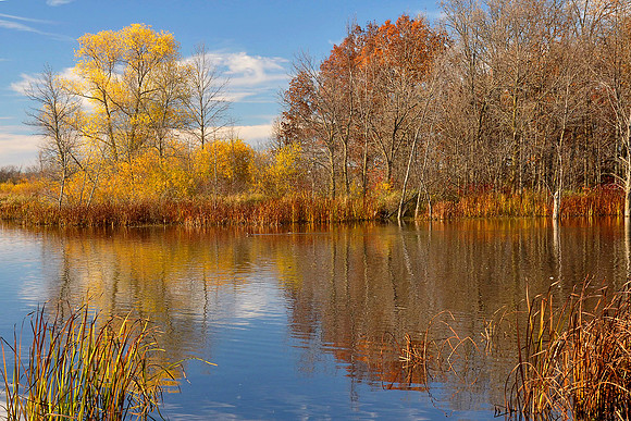Horican Refuge