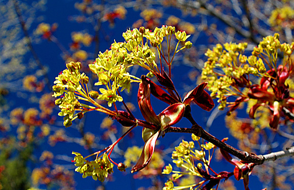 Spring is Here