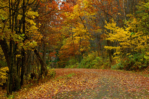 Autumn Lane
