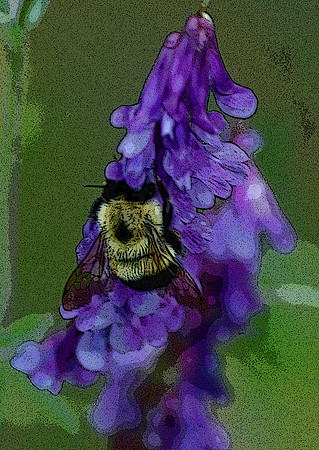 Busy Bee