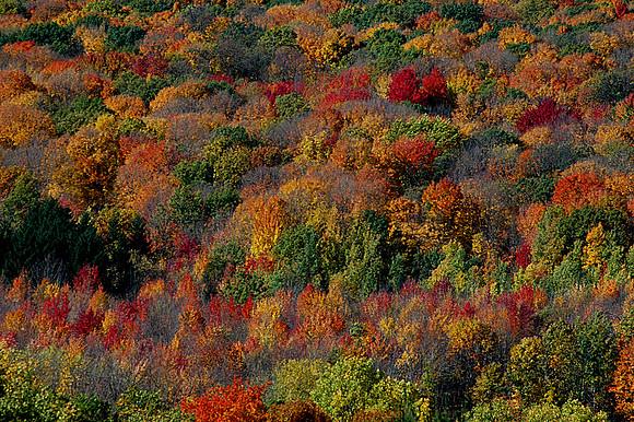 Baraboo Range