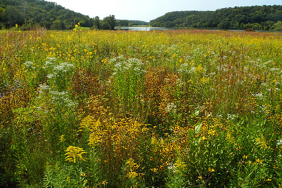Indian Lake 2