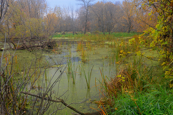 Trempealeau Wildlife Refuge