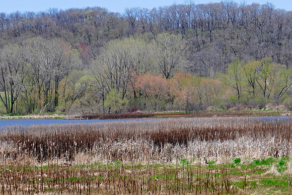 Indian Lake Springtime