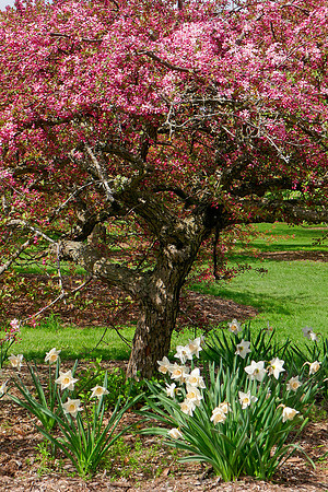 Colors of Spring