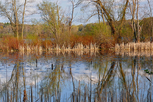 Vilas Bay