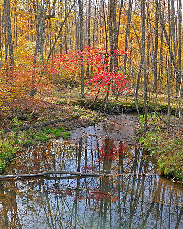 Hemlock Draw Creek