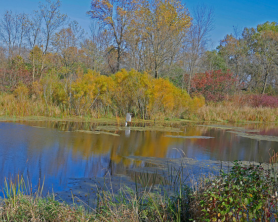 Horicon Pond