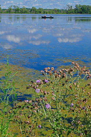 Lake Wingra Paddle
