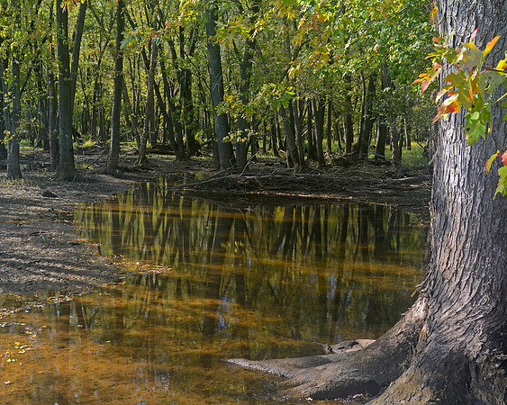 Back Water Rising
