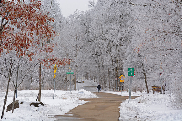 Frosty Path