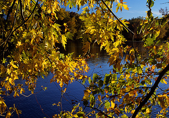 Upper Mississippi