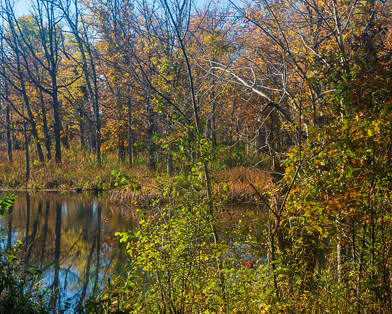 Autumn Spectacle