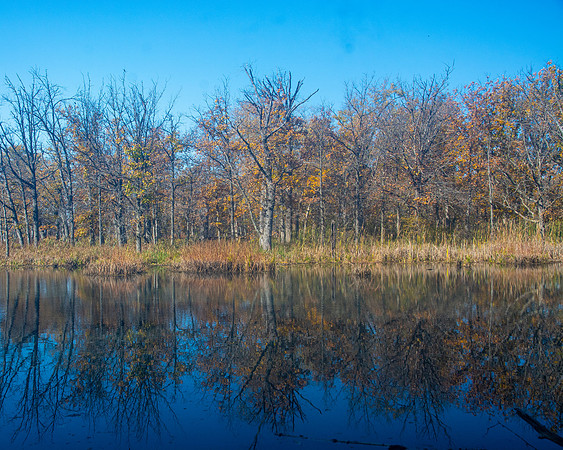 Reflecting Pond