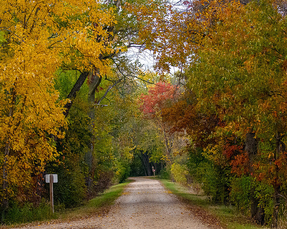 Autumn Trail
